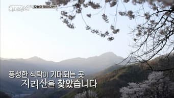 第 8 集