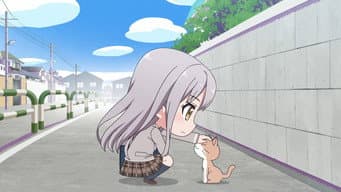 猫猫时间