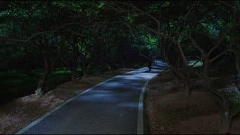 第 20 集