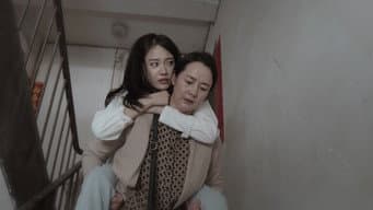 鱼纹镜：校尉少女跨时空“通话”