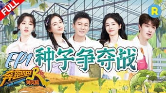 种子争夺战