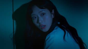 振日的理由