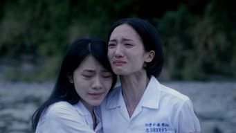 自由之雨