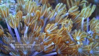 第 5 集