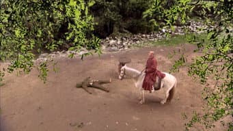 猴王保唐僧