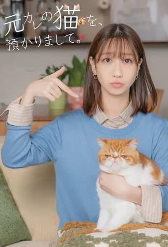 我收留了前男友的猫