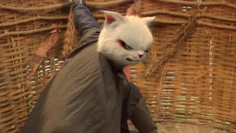 李饼陈拾飞天斗“妖猫”