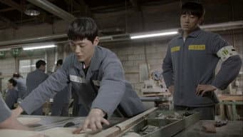 重新开始打棒球