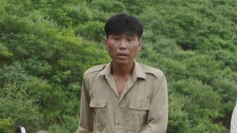 赵书和带人伐树卖钱