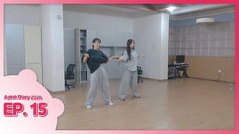 第 15 集