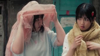 这个假期有点忙
