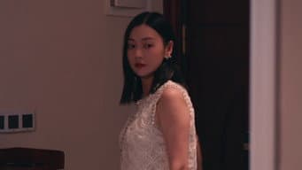 豪门儿媳假面晚宴