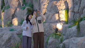 第 8 集