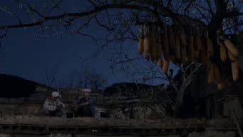 孙少安离开润叶准备寻婆姨
