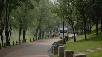 王扬鸣孟骄阳约会
