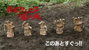 第 12 集