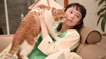 第 4 集