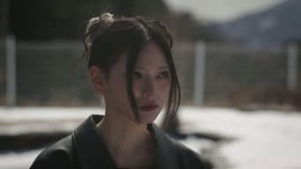 坦率