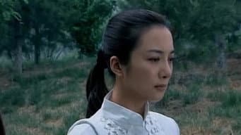 庞溪为母治病