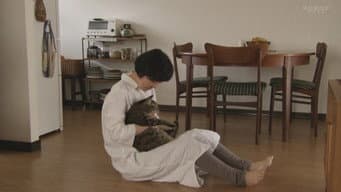 第 1 集