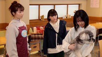 第 8 集
