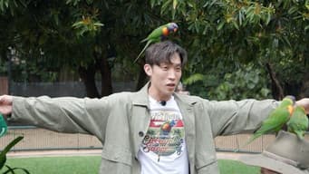 第 1 集