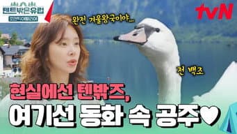第 11 集