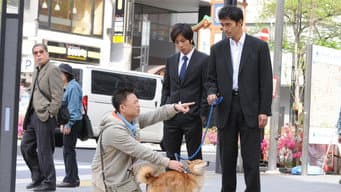 钟表店的狗