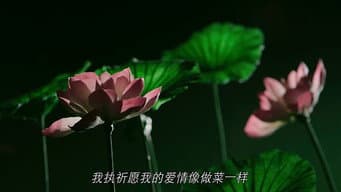 沈勇坚定娶一勺，两人再次举行婚礼