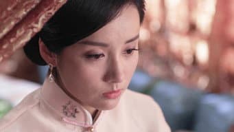 文祺伤重不治去世