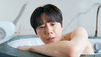 分而治之策略