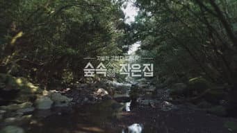第 1 集