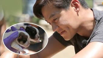 泽演瑞镇看小狗自动爸爸微笑