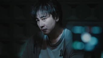 看到烟花你就自由了