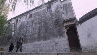 白术肖砚安抚病患
