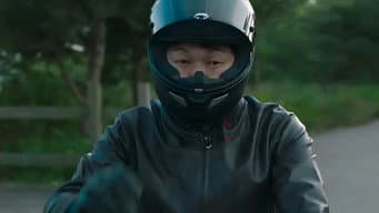 世上的看门狗