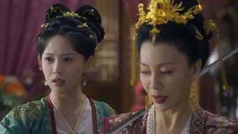 太子妃携剑逼宫