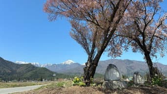 第 8 集