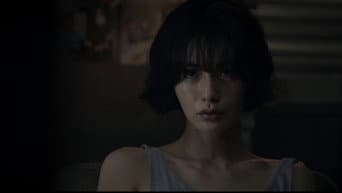 志同道合的盟友