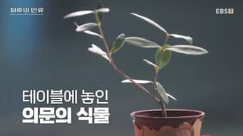 第 7 集