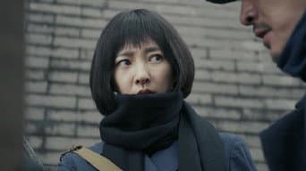 陆风和花向雨在邮轮上相遇