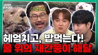 第 9 集