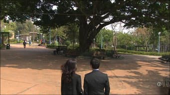 国栋奕霏终告离婚