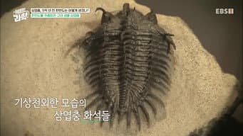 第 10 集