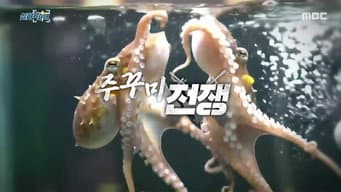 第 15 集