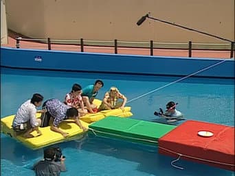 暑假特辑（上）—— 夏威夷