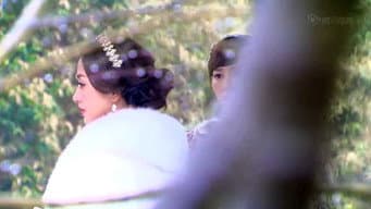 白狼向蒋心求婚