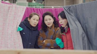 李政赫受伤住院 尹世利为政赫输血