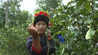 （12）中国·云南：栖居于世界遗产中的少数民族