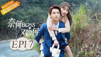 第 17 集